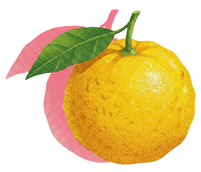 files/Yuzu2_1_768be45c-2810-4639-b165-5e5dd309f7a3.png