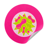 gut-loving prebiotics